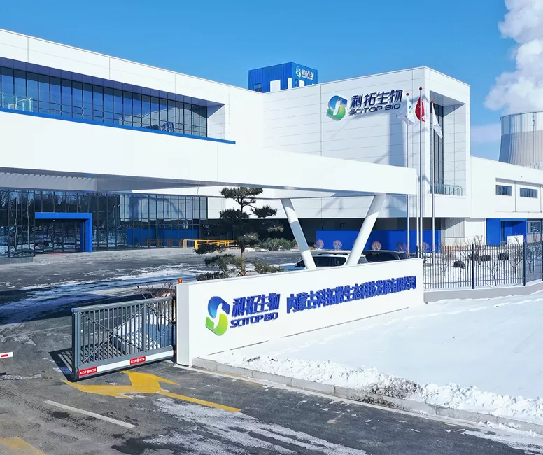 Bir ''otlak armut''-Hohhot Ketuo projesi