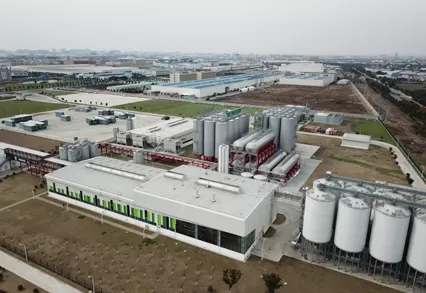 Kamboçya Heineken Bordeaux projesi