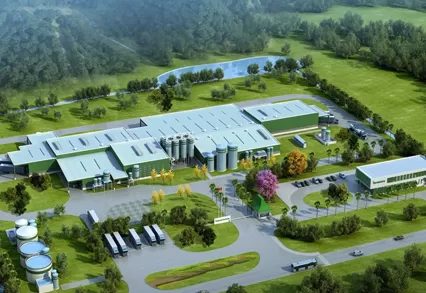 Timor Leste projesi, Heineken bira fabrikaları